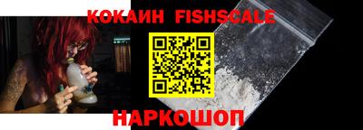 гидра Будённовск