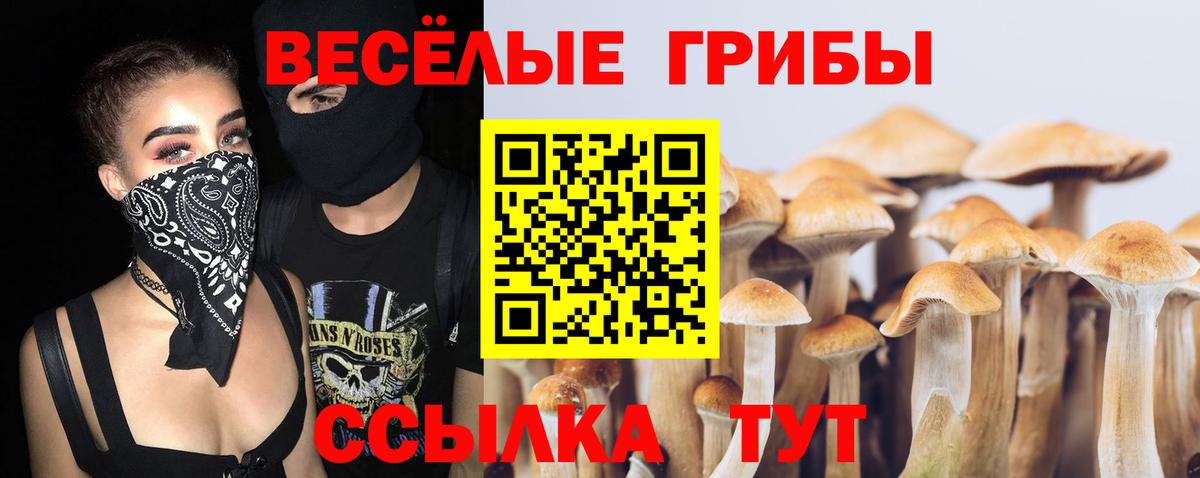 Псилоцибиновые грибы прущие грибы Вологда