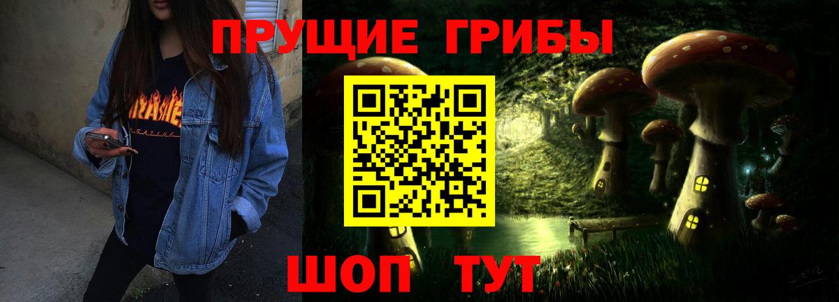 Псилоцибиновые грибы Cubensis  Вход с VPN  Вологда 