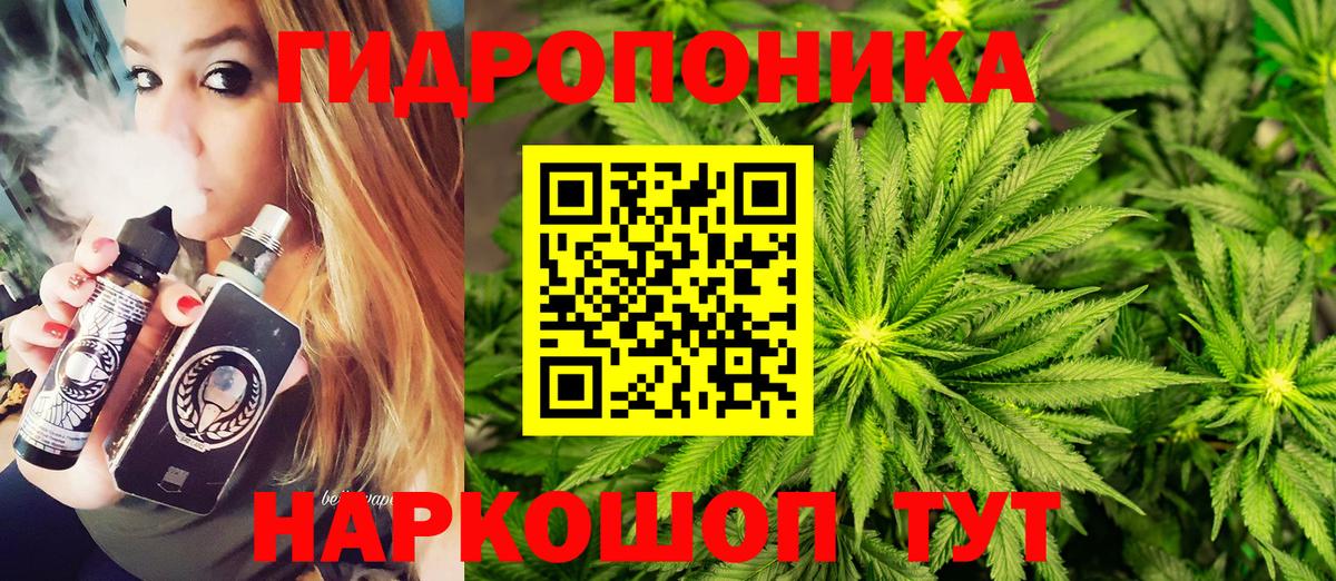 Каннабис план  Бошки марихуана индика  Вход с VPN  Вологда  Каннабис гибрид 